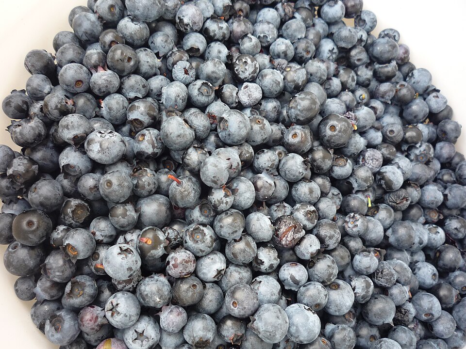 Borůvka 'Big Blue'