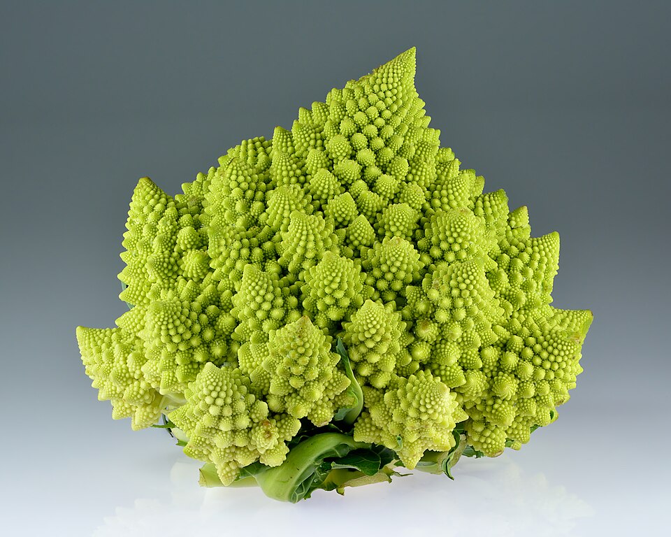 Brokolice Romanesco