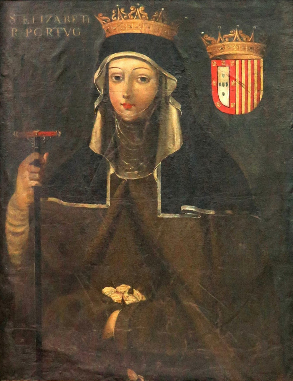 Růže Queen Elizabeth
