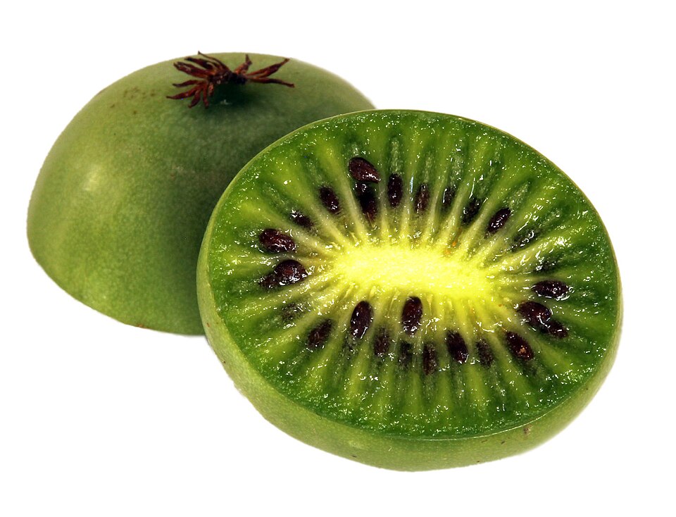 Plod — Kiwi 'Ken's Red' (aktinidie ostrolistá)
