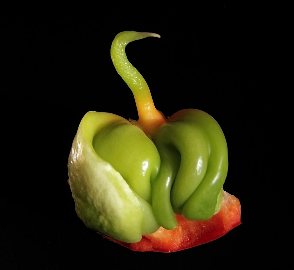 Plod — Paprika kapie