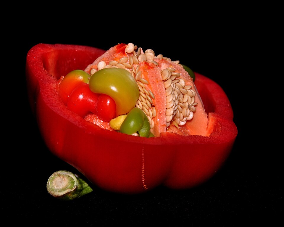 Plod — Paprika chilli
