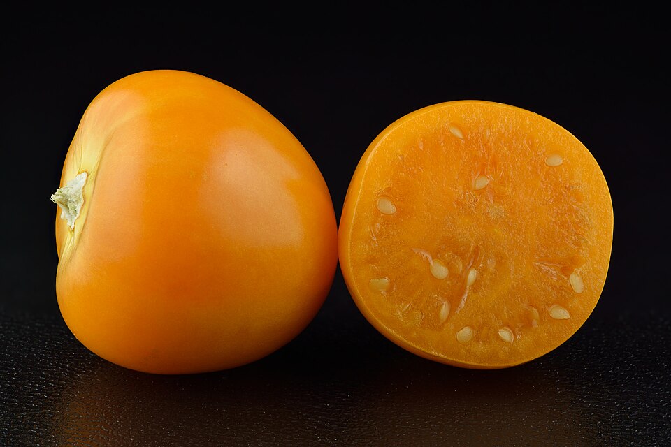Plod — Mochyně vejcovitá (physalis)