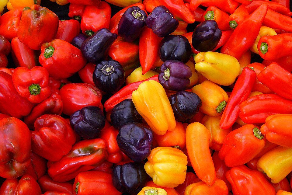 Plod — Paprika kalifornský zázrak