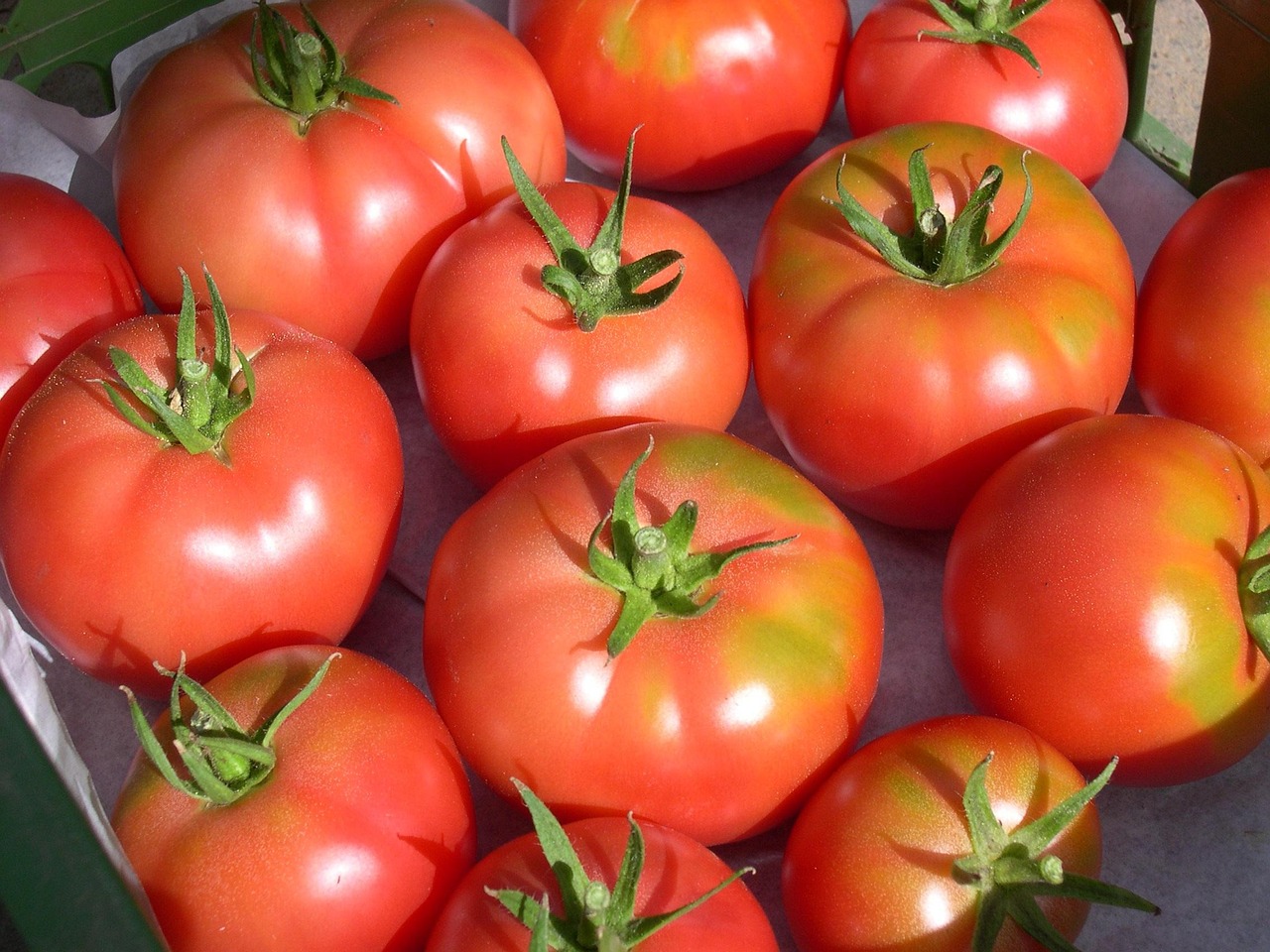 List — Rajče Beefsteak