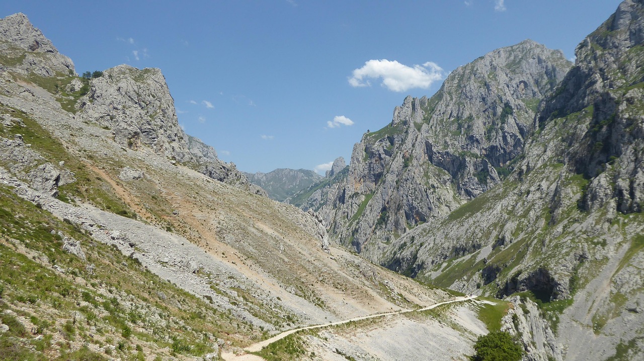List — Routa vonná