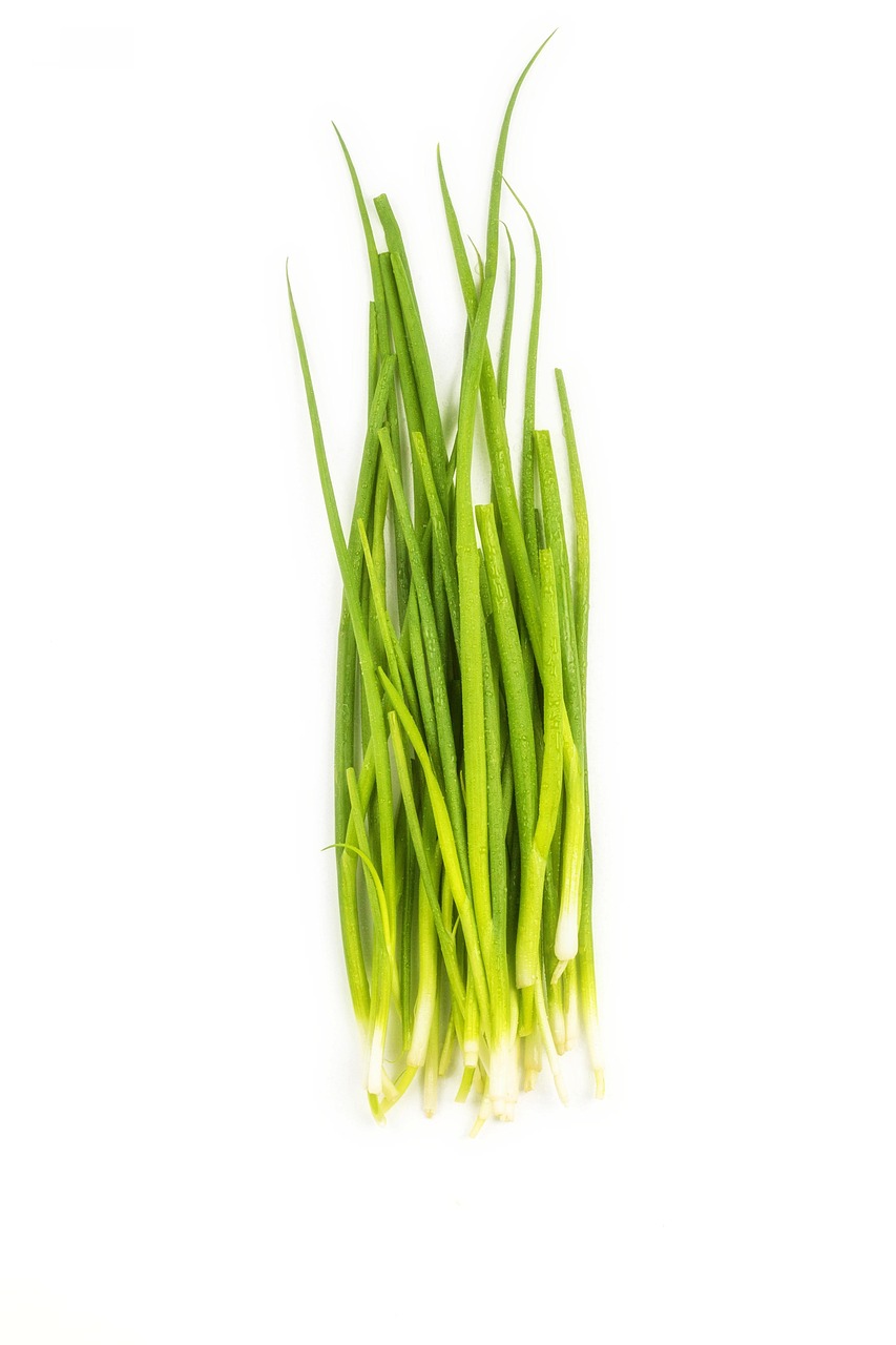 List — Cibule sečka zimní